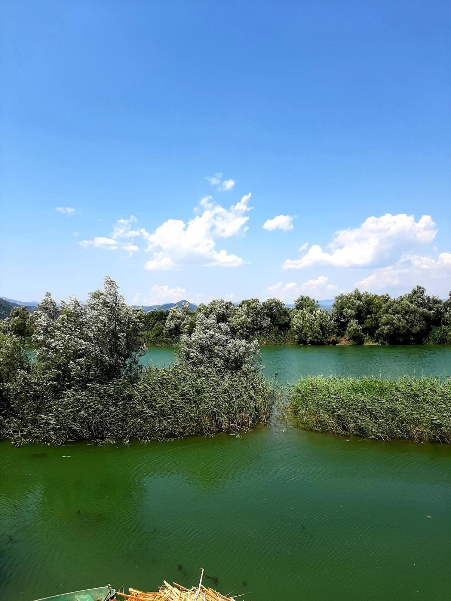 Skadar Lake House Вирпазар Экстерьер фото