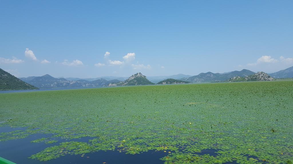 Skadar Lake House Вирпазар Экстерьер фото